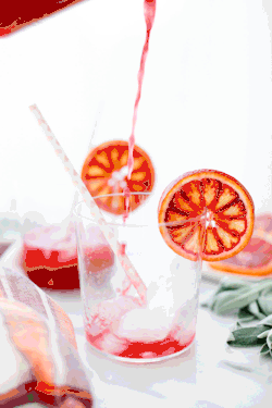 confectionerybliss:  Blood Orange and Sage Sparkling SodaSource: Snixy Kitchen