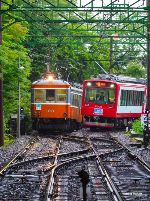 taka1451: 2015.6.26 箱根撮り鉄散歩奇跡の同時入線OM-D E-M5+40-150mm f2.8