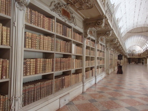 flowindia:Library at Mafra National Palace, 2016