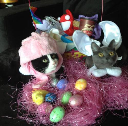 Sex roblovesjudas:   @deadmau5 Easter Photo pictures