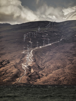 furples:  Kaheawa Wind Power on Maui | http://nicholasdyee.tumblr.com/