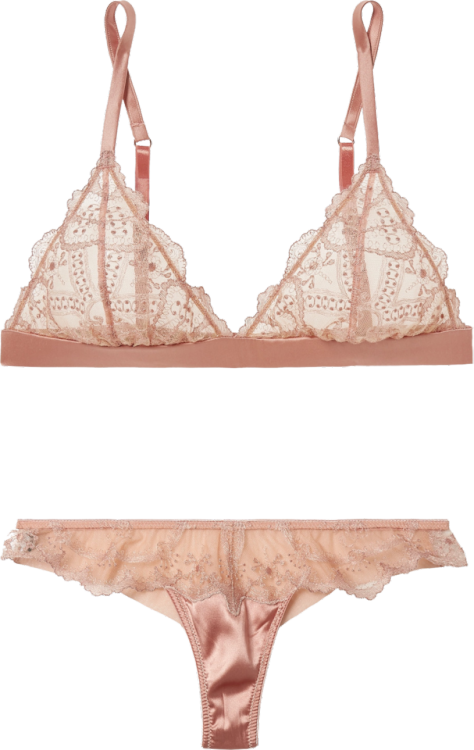 transparent-lingerie: I.D. Sarrieri bra (£195) and thong (£90)