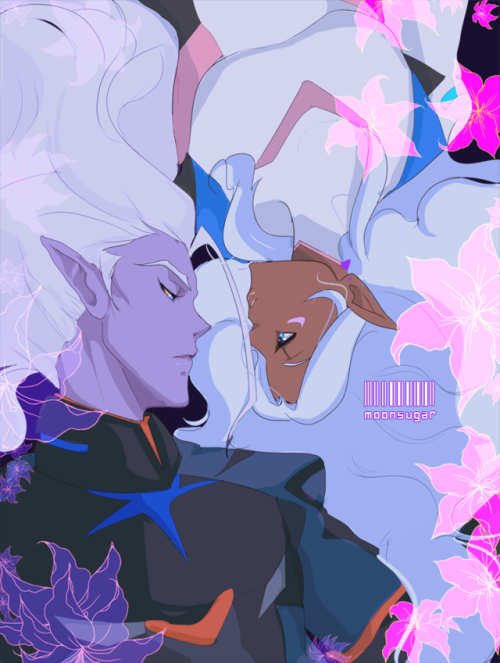 blackmoonbabe: happy valentines day!  quite a day huh lotura fam? lol since lotor’s valen