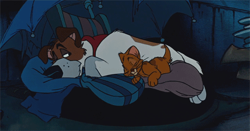 disneyfansonly:  Love Disney? This blog is everything Disney! ºoº
