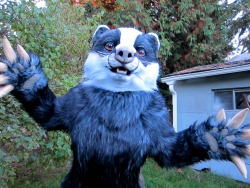 wulfos:  Badger Fursuit - Jacq 