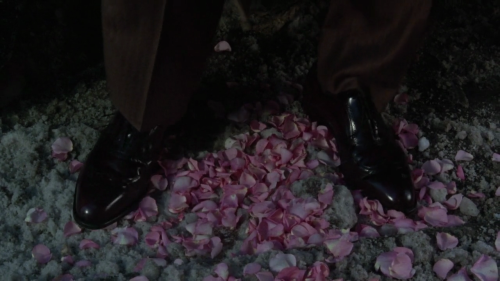 coming to america by john landis, 1988