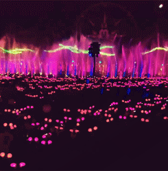 huggypans:Glow With the Show Ears at California Adventure's World of Color