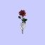 andere479
