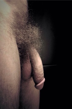 n8kdtrvlr:ABSOLUTELY AMAZING BUSH