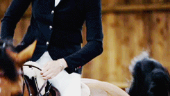 ottbs:“A horse is the projection of peoples’ dreams about themselves - strong, powerful, beautiful -