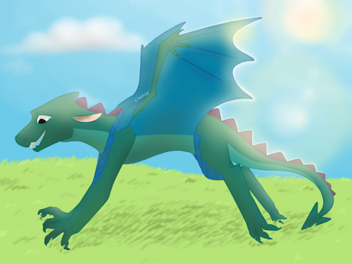 8 Year Redraw!