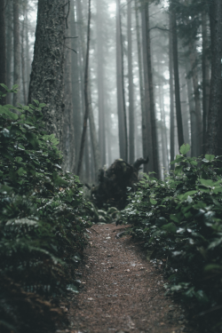 jrxdn:  Backyard Hikes | Instagram | Facebook