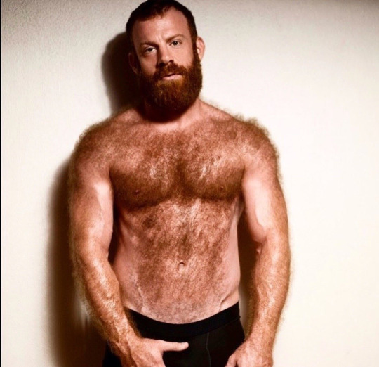 hh175:hairyobsessionss:Ginger Furry beast https://hairyobsessionss.tumblr.com/Hairy Furry Men🔥🔥🔥🔥 SUPER MOQUETTE !