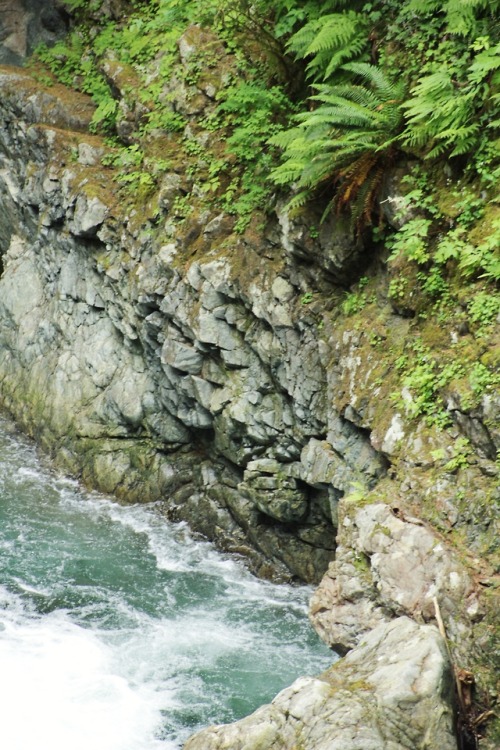 matchbox-mouse: At the bottom of the waterfall. Lynn Canyon.