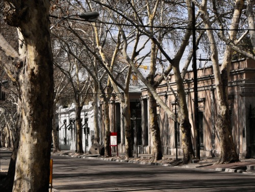 Calle en invierno, Mendoza, 2008.