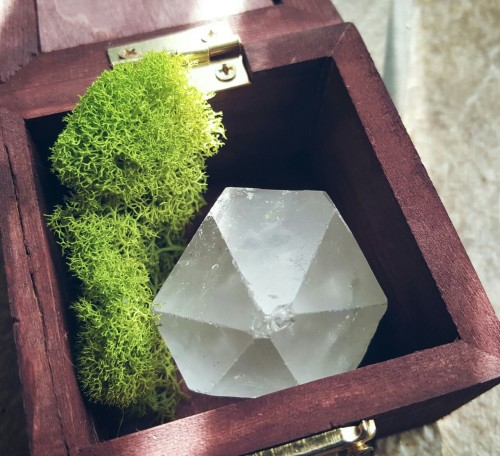 Tiny, mahogany color witch box with a shadow box lid (pictured here with optional moss).SHOP