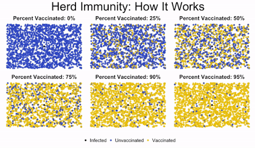 aleatoryw:we-are-star-stuff:Herd immunity is the idea that if enough people get immunized against a 
