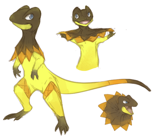 mewitti:  Did someone say frilled lizards? 
