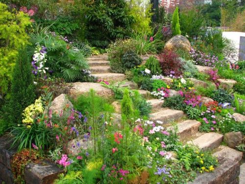 feathery-soul: flowersgardenlove: Special Landscaping Beautiful gorgeous pretty flowers this is how 