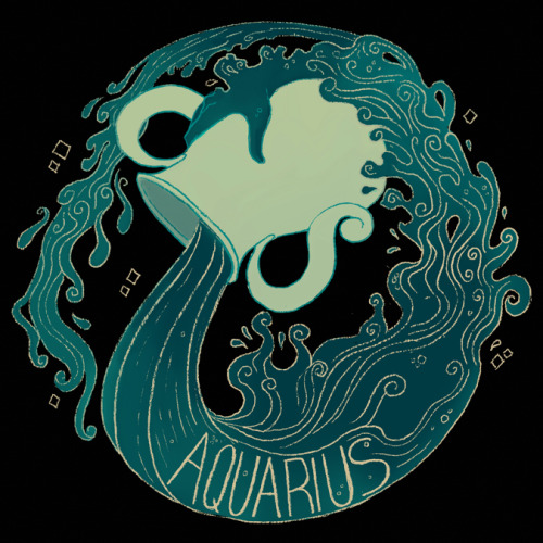 Aquarius - Other Signs / Shirt / Tumblr