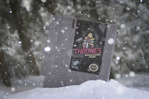 An 8-bit Game of Thrones
We have brought back a handful of the Drew Wise (not a Lannister) created Thrones NEStalgia carts because winter is here… and so is the holiday shopping season.
Game of Throne art carts available @72Pins