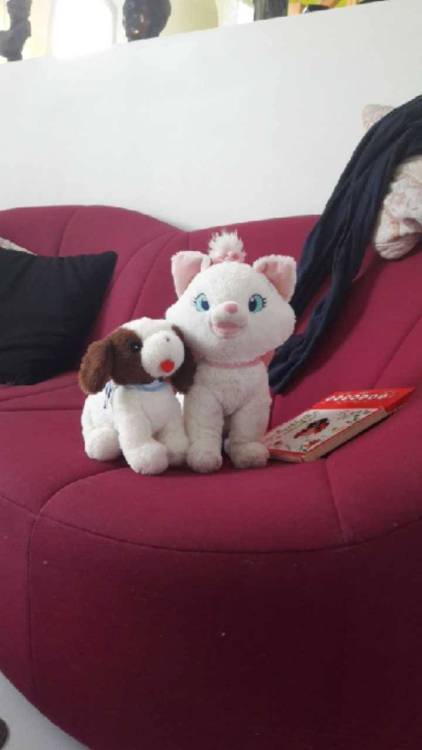 Algy just loves this photo of some of the peluches belonging to Melie (5 ans), one of the youngest m