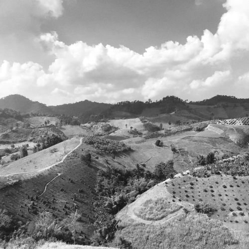 Bike touring in Thailand.
Day - 8
*surfing on sugar*
#bikepacking
#freedomofcycling
#bikepackingthailand
#touringnotracing
@lise_vlaeminck
https://www.instagram.com/p/B67-DT_gDF4/?igshid=1ndeyselt5env