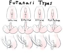 futafapper:  vizia-the-mod:  Futa types by Zezka