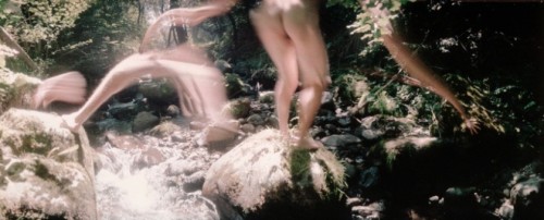 razorshapes:Frédéric Fontenoy - Métamorphose