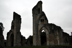 liselotte-e:  Glastonbury Abbey, UK 