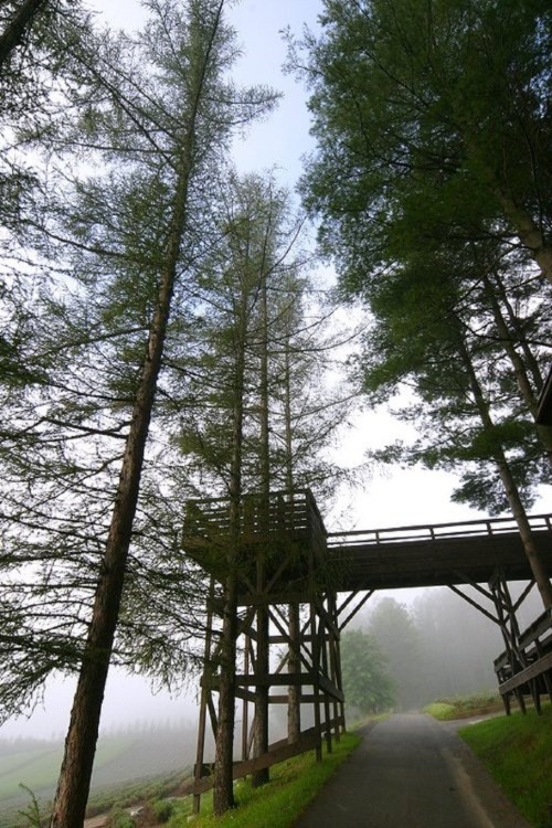 sublim-ature: Furano, JapanAkihisa Kitanosono