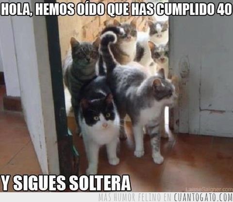 hoynofollo:  Yo ya tengo nombre para mis cuarenta futuros gatos