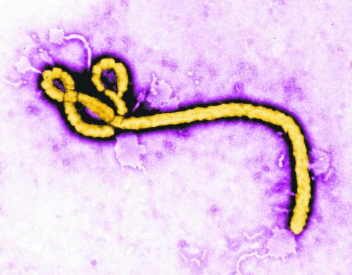breakingnews: Saudi Arabia tests man for Ebola Reuters: Doctors in Saudi Arabia are testing a man wh