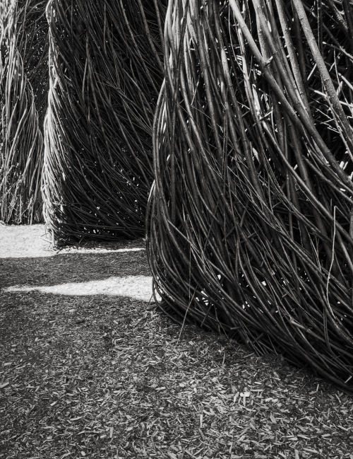 Willow Sculpture by Patrick Dougherty, Falmouth, 7 27 19, Photo by Joe Bruha, Copyright 2022 V2