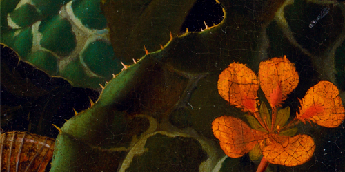detailsdetales:Still Life (c. 1680)Rachel Ruysch