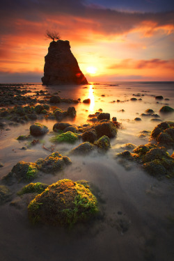 lsleofskye:  Batu Luang, Kuala Penyu 