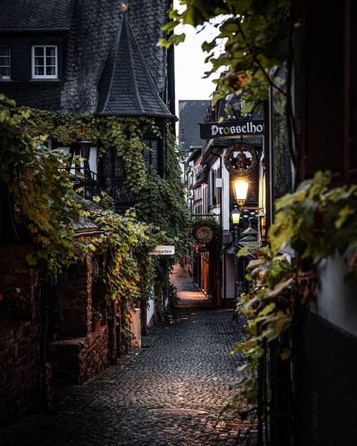 debelice:Taverns along the Drosselgasse lane in the heart of Old Town Rüdesheim am Rhein, a winemaki