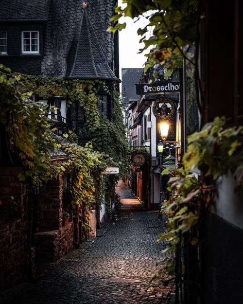 debelice:Taverns along the Drosselgasse lane in the heart of Old Town Rüdesheim am Rhein, a win