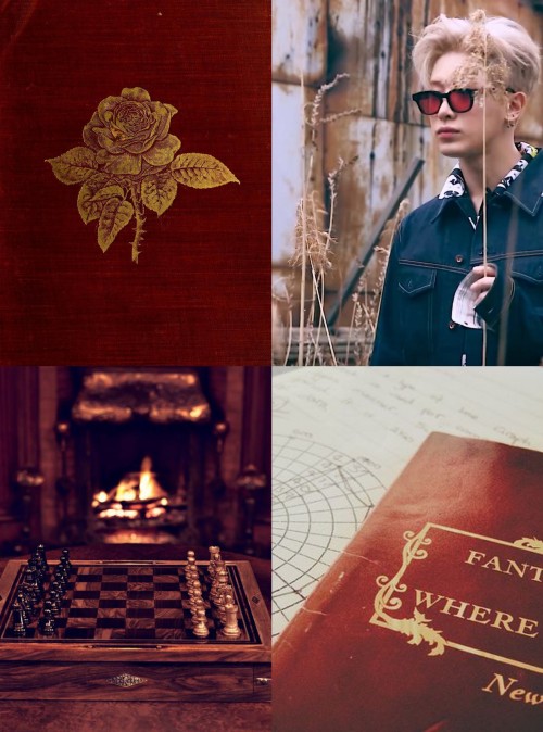 Monsta X as Hogwarts Students: 4/71/7; 2/7; 3/7; 5/7Wonho; GryffindorBlood status: Muggleborn, doesn