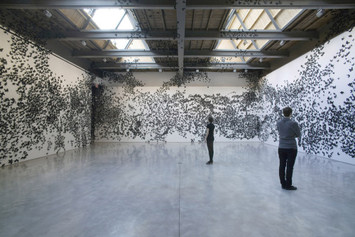 The Black Cloud art project, by Carlos Amorales, features dark clouds on walls made up of tens of th