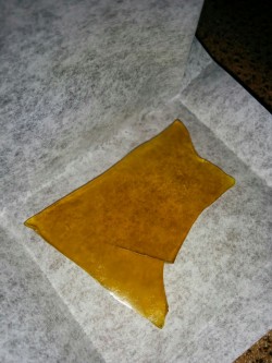 abstractasshole:  Oj sour x Pinesoul..some of the best shatter I’ve had in awhile…