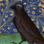 cicadaemon