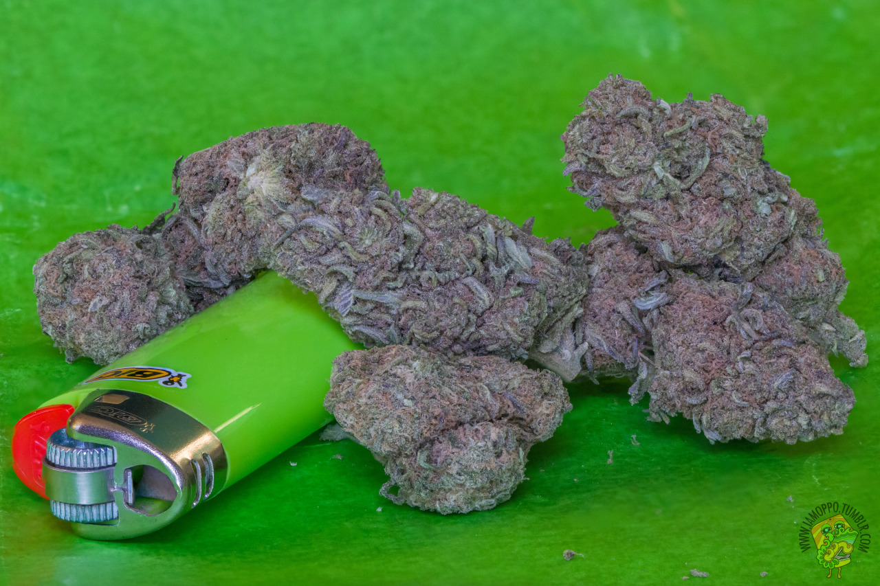 iamoppo:Mr. Nice (G13 x Hash Plant)