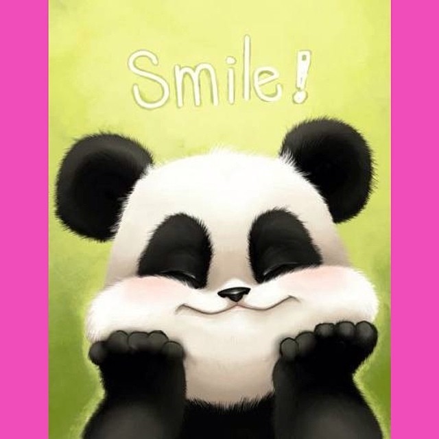 Yep! As simple as it is!   #panda #cute #instagood #likeforlike #pandabear #asians