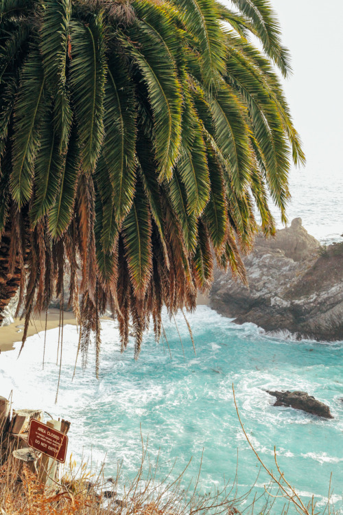 thenorthwestexplorer:  Big Sur Location: Highway 1, California Date: December 19th, 2015