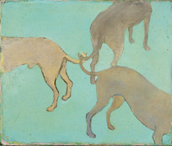 Untitled (Three Dogs Knot)Francis Alys