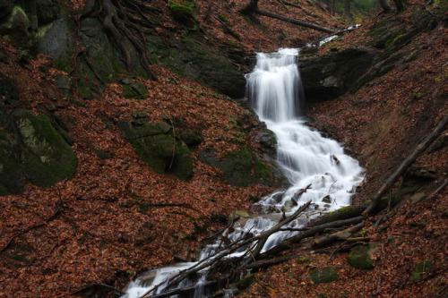 Beech spring woods of Mionší and Jestřábí vodopád waterfall 