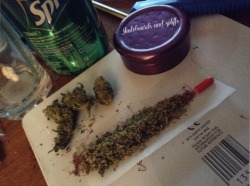 skateboards-and-spliffs:  Time to get so high, so high I can kiss the sky