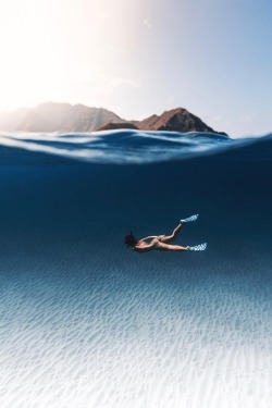 alecsgrg:  Just keep swimming | ( by Nolan Omura ) 