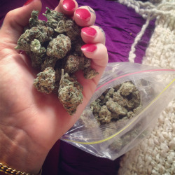 Innocent Stoner